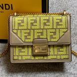 �ҵ� ĵ �� �̴� ���� ü�� ����� FD20996 