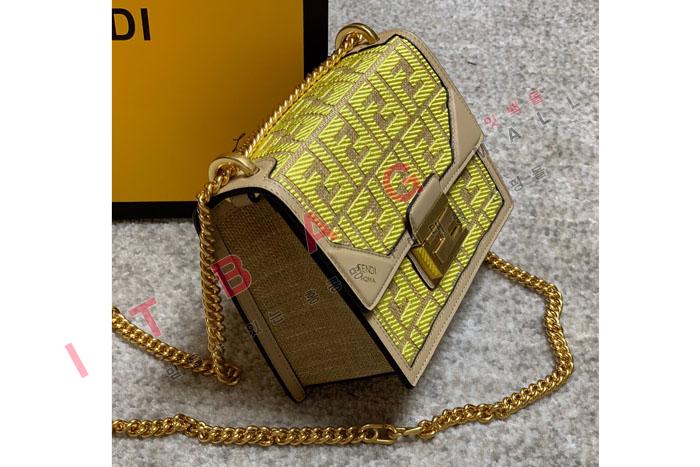 �ҵ� ĵ �� �̴� ���� ü�� ����� FD20996 
