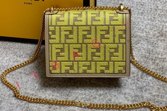 �ҵ� ĵ �� �̴� ���� ü�� ����� FD20996 