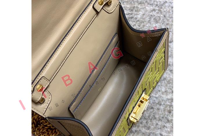 �ҵ� ĵ �� �̴� ���� ü�� ����� FD20996 