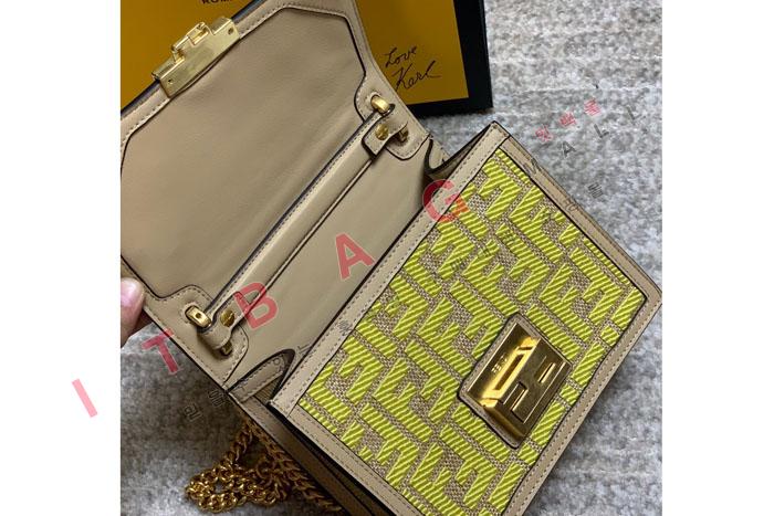 �ҵ� ĵ �� �̴� ���� ü�� ����� FD20996 