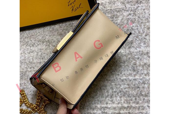 �ҵ� ĵ �� �̴� ���� ü�� ����� FD20996 