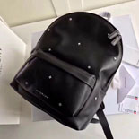 ����� �ǵ��� ��Ż ���� BB05533