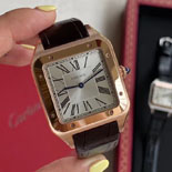 ��쿡 ���� ���������� CR17243  (������)
