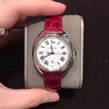 ��쿡 �����ƽ ���������� CR17247 (������)