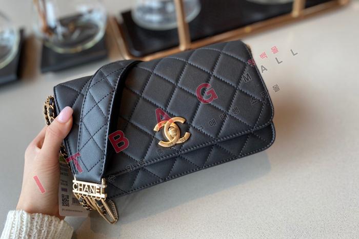 ���� �̵� ü�� �����  AS2051 
