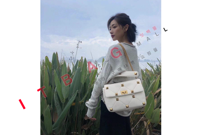 �߷�Ƽ�� ����/�̵� ü�� �����  DX0113-2  �����̾�