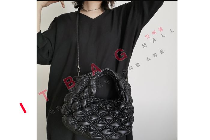 �߷�Ƽ�� �̵�/����  ������ũ�� ȣ����  DX0116-2   �����̾� 