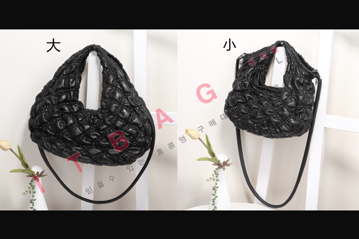 �߷�Ƽ�� �̵�/����  ������ũ�� ȣ����  DX0116-2   �����̾� 