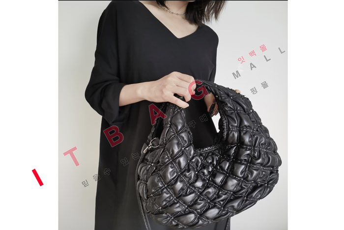 �߷�Ƽ�� �̵�/����  ������ũ�� ȣ����  DX0116-2   �����̾� 