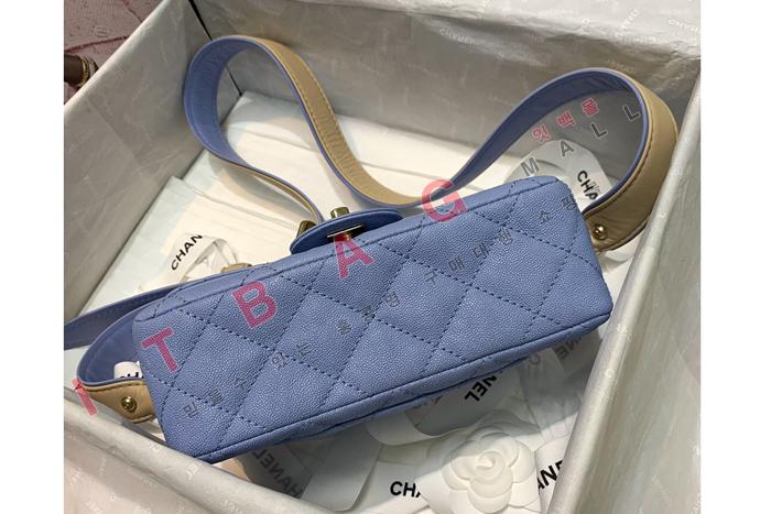 ���� �÷� �����   AS2273-3