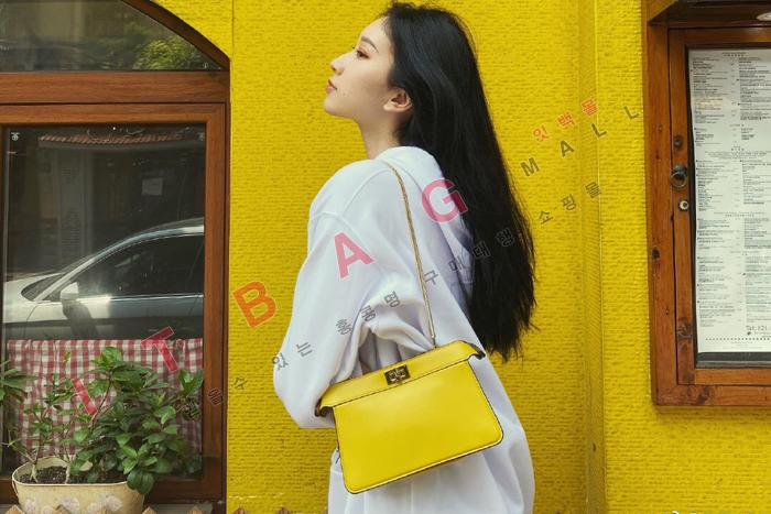 �ҵ� ����/�̵��  ��ī�� ���̾��� �̽�Ʈ����Ʈ FO2069