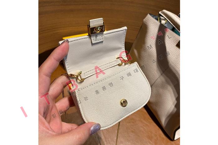 �ҵ� �̴� ��� ü�� �����    FD2088