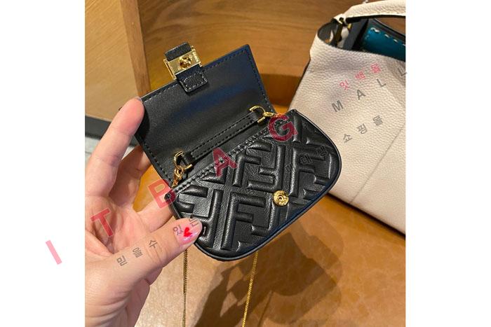 �ҵ� �̴� ��� ü�� �����    FD2091