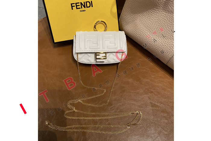 �ҵ� �̴� ��� ü�� �����    FD2091