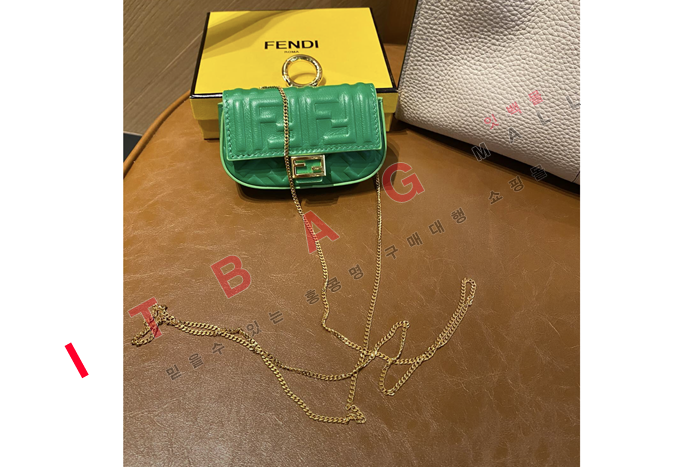 �ҵ� �̴� ��� ü�� �����    FD2091