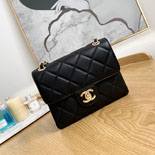 ���� 21 �Ż� ī����Ų ü�ι� AS2468-2 �����̾� 