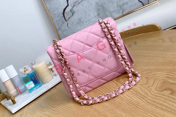 ���� 21 �Ż� ī����Ų ü�ι� AS2468-3 �����̾� 