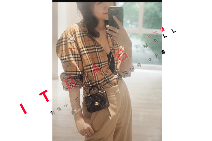 ���� ž�ڵ� �̴� ü�� �������� ũ�ν���  AP2200