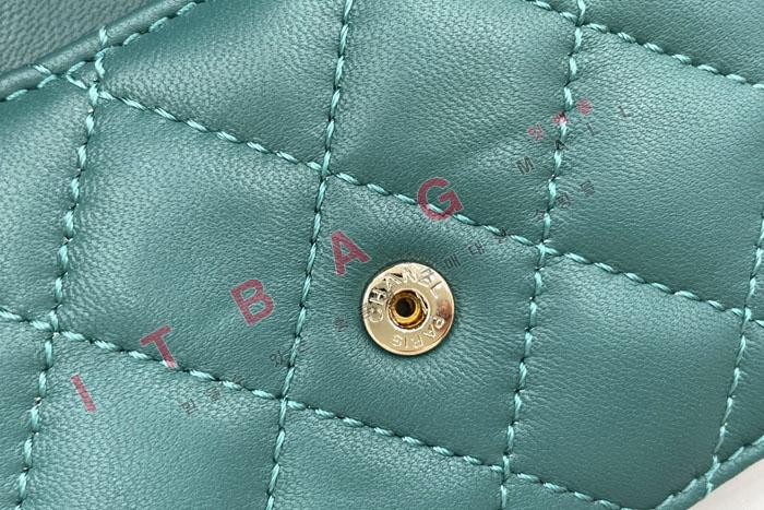 ���� ž�ڵ� �̴� ü�� �������� ũ�ν���  AP2200-2