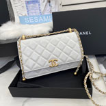 ���� ī����Ų ���� ��庼 ũ�ν���  AP2289-3