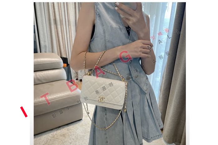 ���� ī����Ų ���� ��庼 ũ�ν���  AP2289-3