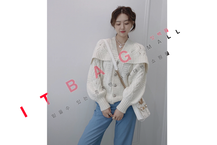 ���� CC ����� ��Ż ü�� �̴� �÷��� AS2695 �����̾� 