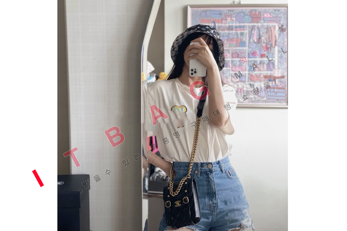 ���� CC ����� ��Ż ü�� �̴� �÷��� AS2695-1 �����̾� 