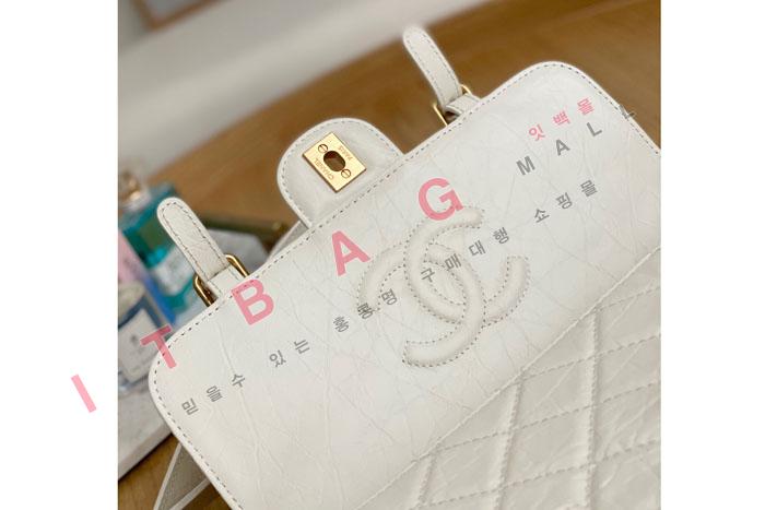 ���� ��Ƽ�� ī����Ų ���� ���� ��Ŭ �÷��� AS2696 �����̾� 