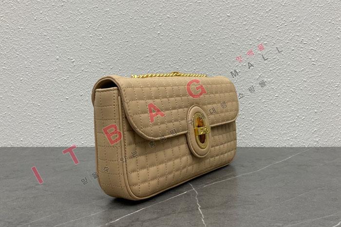 ������ ��Ű ���� �̵�� ü�� ����� 196383-1 �����̾�