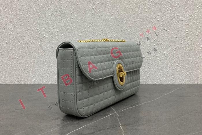 ������ ��Ű ���� �̵�� ü�� ����� 196383-2 �����̾�