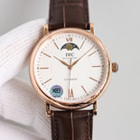 IWC �����ƽ ���������� W19549-1 