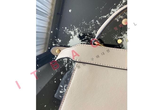 �ҵ� �̵��  ��ī�� ���̾�����  FD2041 (S�ֻ��)