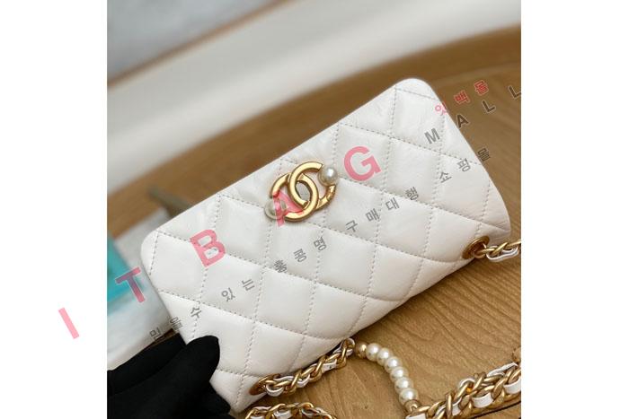 ���� �� �̴� ü�� �÷��� AS3000-1  (�����̾�)
