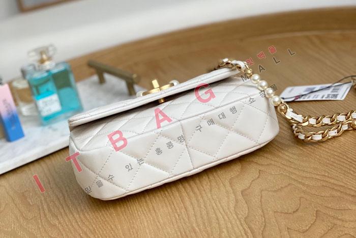 ���� �� �̴� ü�� �÷��� AS3000-1  (�����̾�)