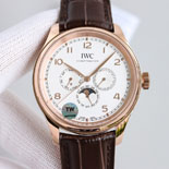 IWC  �����ƽ ȫ�ṫ�� W19552-1