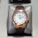 �ٽ��� �ܽ�źƾ �����ƽ ���������� VC19466 (������)