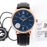 IWC �����ƽ ���������� W19557