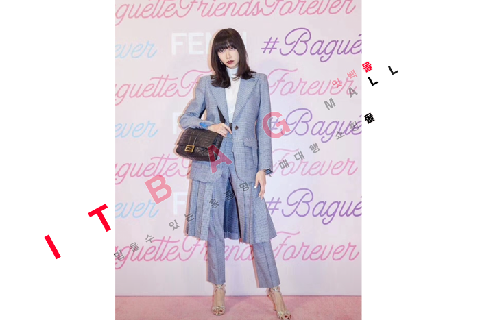 �ҵ� ����/�̵�� ���� �ٰ�Ʈ�� FD2111 (S�ֻ��)