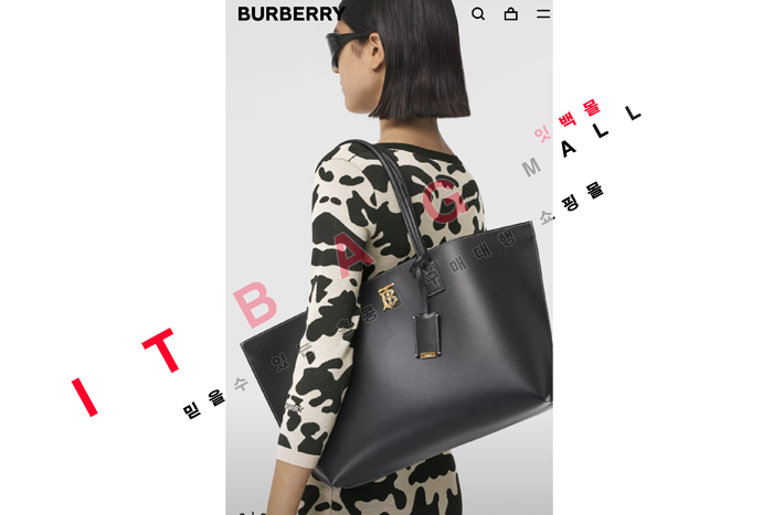 ������ TB ���׷� ī����Ų �̵�� ��Ʈ�� BU70086-1 (S��)