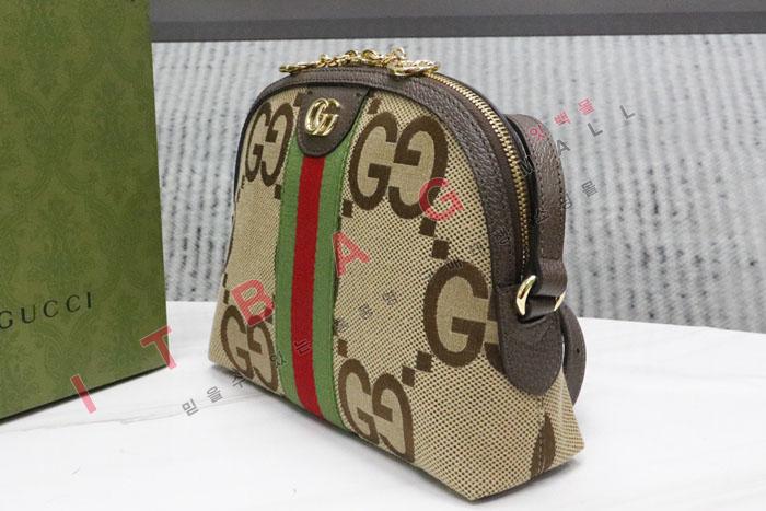 ���� ���ǵ�� GG ������ ���� ����� 499621-5 (S��)