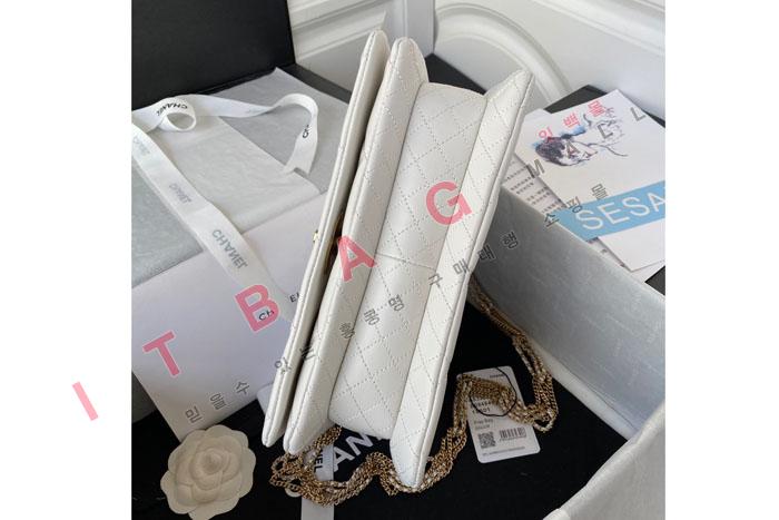 ���� 22A  �̵� ü�� �÷��� A53388-2 (�����̾�)