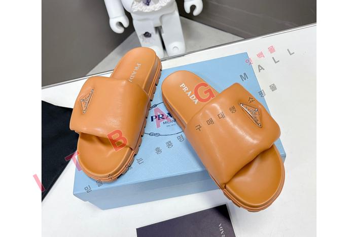����� ���� ������  SH5872