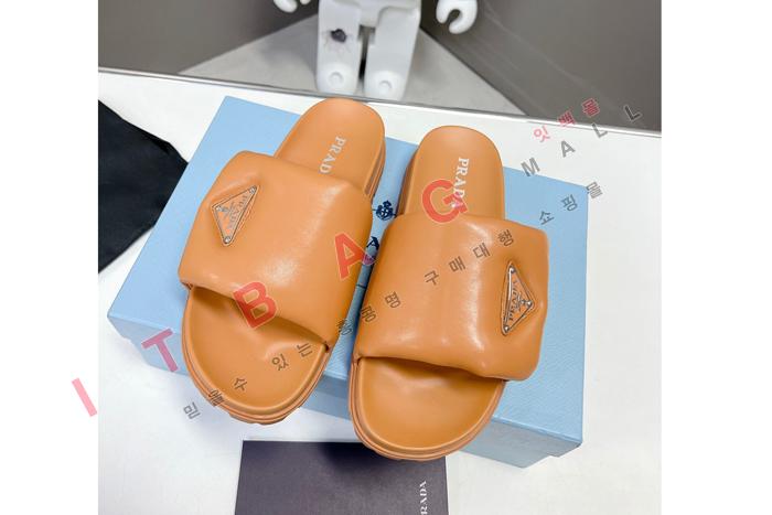 ����� ���� ������  SH5872