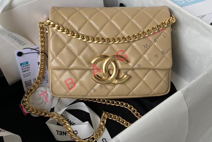���� �ΰ� ���� �÷���   AS3855-4
