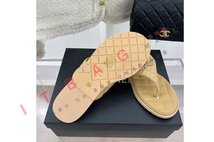 ���� �ɸ� ����   YIBU1607   