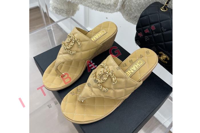 ���� �ɸ� �� ����   YIBU1608-1    7CM