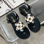 ���� �ɸ� ����   SH6574     3CM
