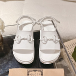 ���� Ȧ���� �� �÷��� ���� SH6604-1