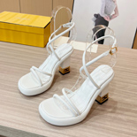 �ҵ� �ٰ�Ʈ ���� ���� ����  SH6614-1    9CM